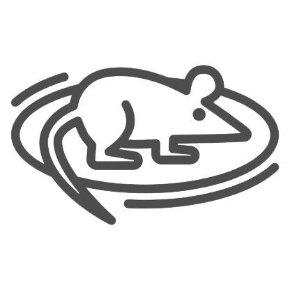 RFID Scale Project Logo